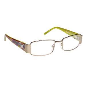 ArmouRx 7009 Metal Safety Glasses